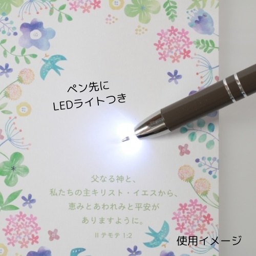 LEDライト付きボールペン（ケース入り） NXI24LBP1 （55853）（いのち