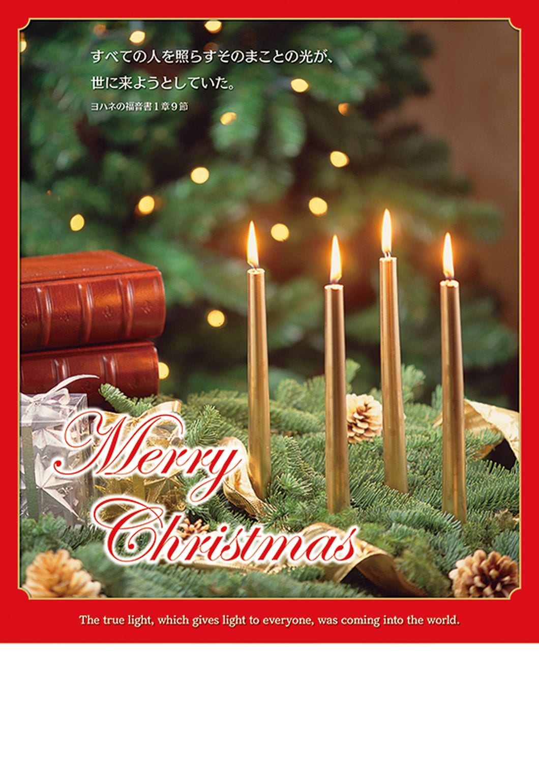 ���ꥹ�ޥ��ץ�������ѻ� ��50������˶�Υ����ɥ�ȥ�ߡ���58751��