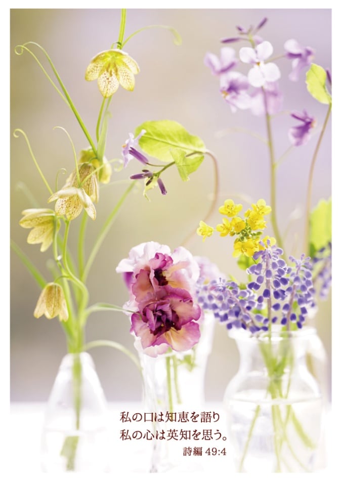 【美品】『（特別版）未来を写した子どもたち』（ポストカードブック付） Amazon.co.jp: 未来を写した子どもたち(特別版) [DVD] : ロス