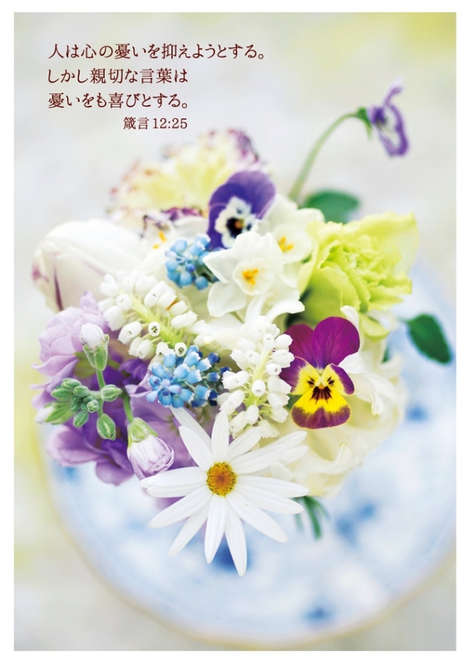 ポストカードブック Flowers Vol.2 K-SN24PB （55994）（いのちの