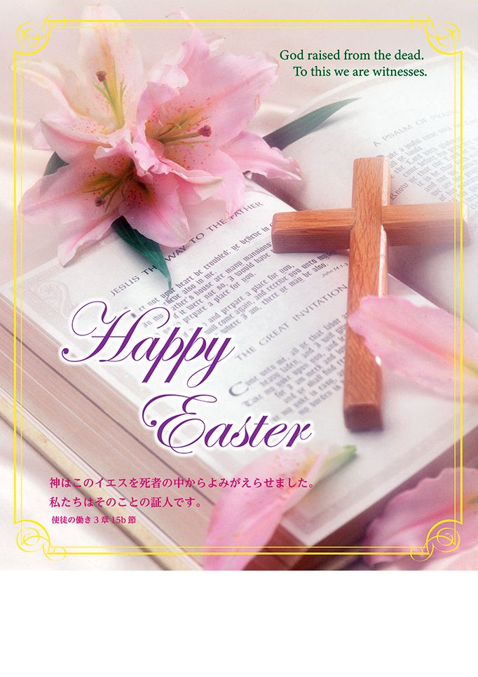 �����������ץ�������ѻ�(30��)�ԥ󥯤Τ��Ƚ����͡���55887��