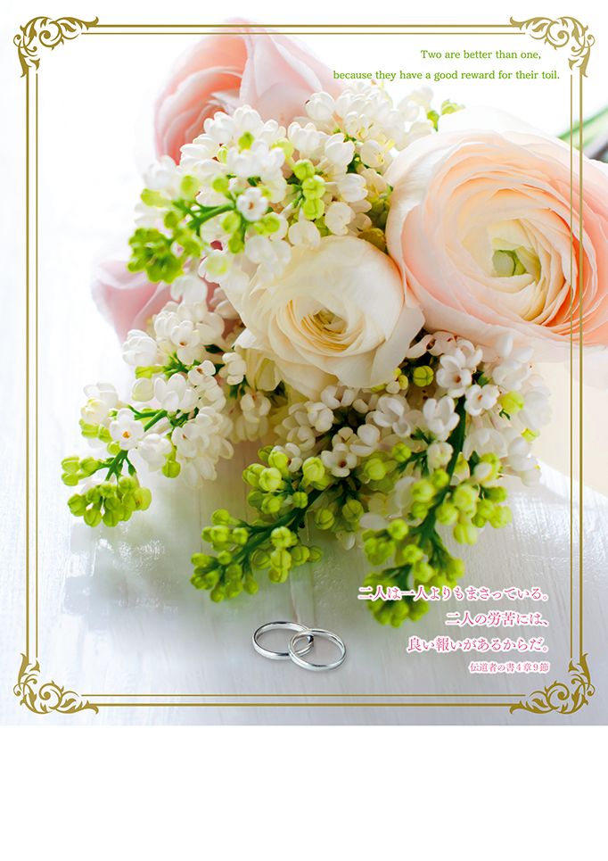 ���뺧�ץ�������ѻ�(30��)��ʥ󥭥�饹�ȥ�󥰡��ץ�������ѻ��55897��