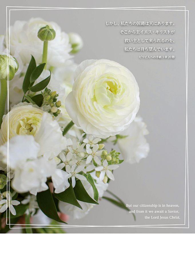 Ĥ���ץ�������ѻ�(30��)�򤤥�ʥ󥭥�饹����55898��