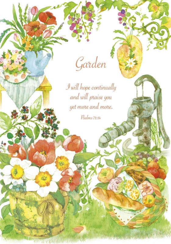 B6�Ρ��ȡ�Garden