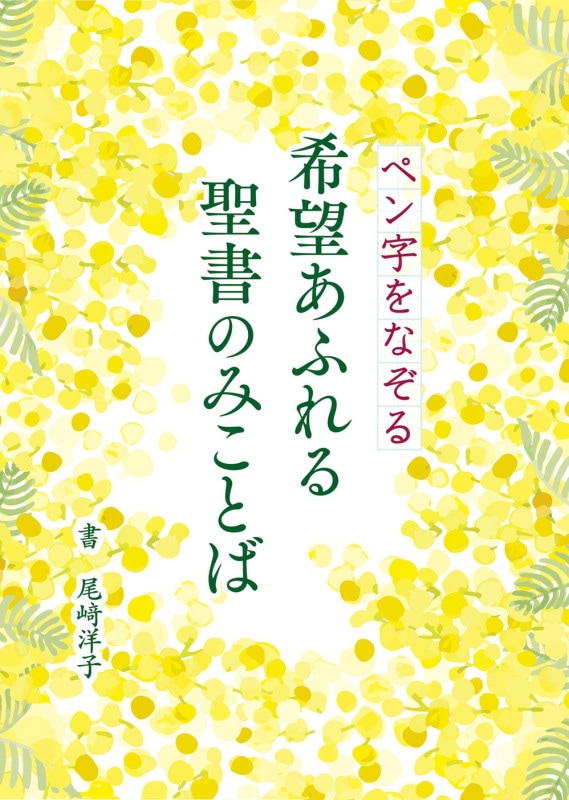 �ڥ����ʤ��롡��˾���դ������Τߤ��Ȥ� J-FRP25NS1����51122��