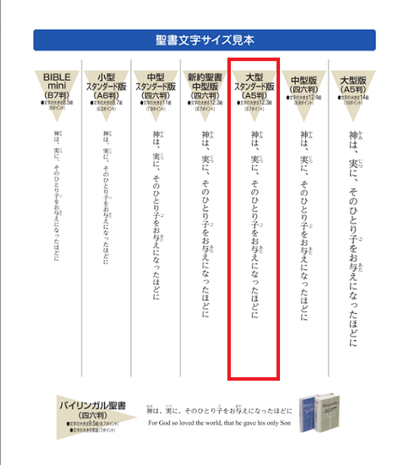 聖書 新改訳2017 大型スタンダード NBI-10（新定価）（45621）（新改訳