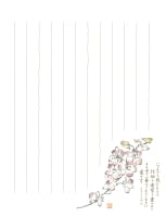 ST007���ߤ��Ȥ���������������åȡ��������ȡ���802459��