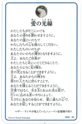 ���ꥫ���ɡ����θ�����DB14��790156��