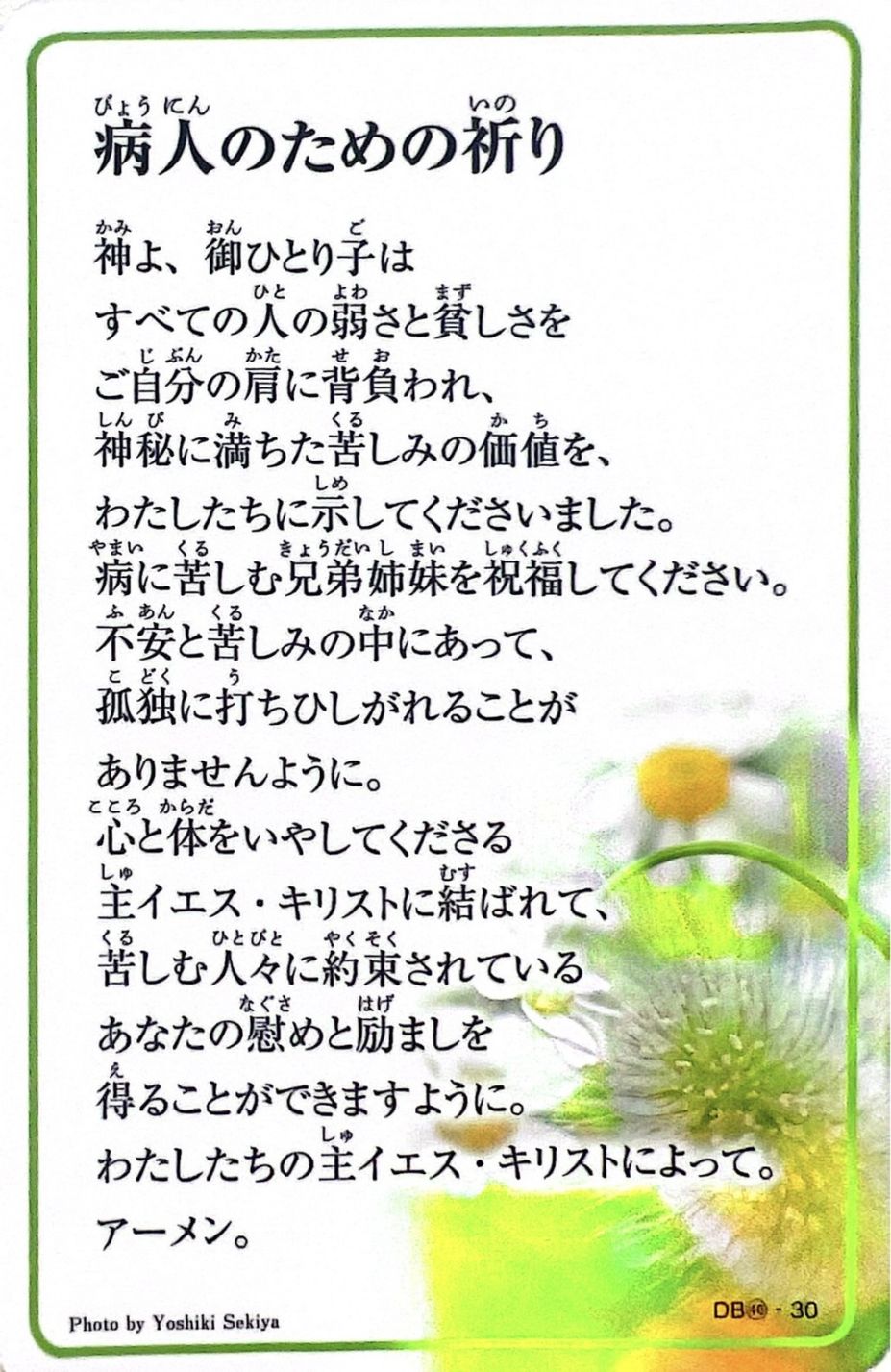 祈りカード 病人のための祈り／病気のときの祈り DB40（910105）（ドン