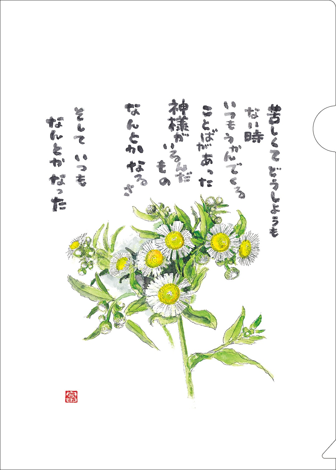 品切・再版なし] 星野富弘クリアファイル ヒメジョオン KM25CF9