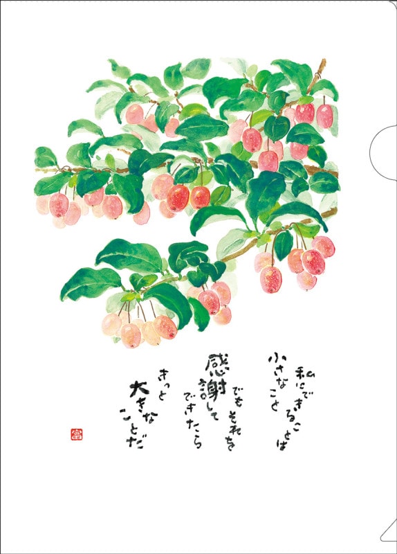 ٹꥢե롡ߡKM25CF8500212