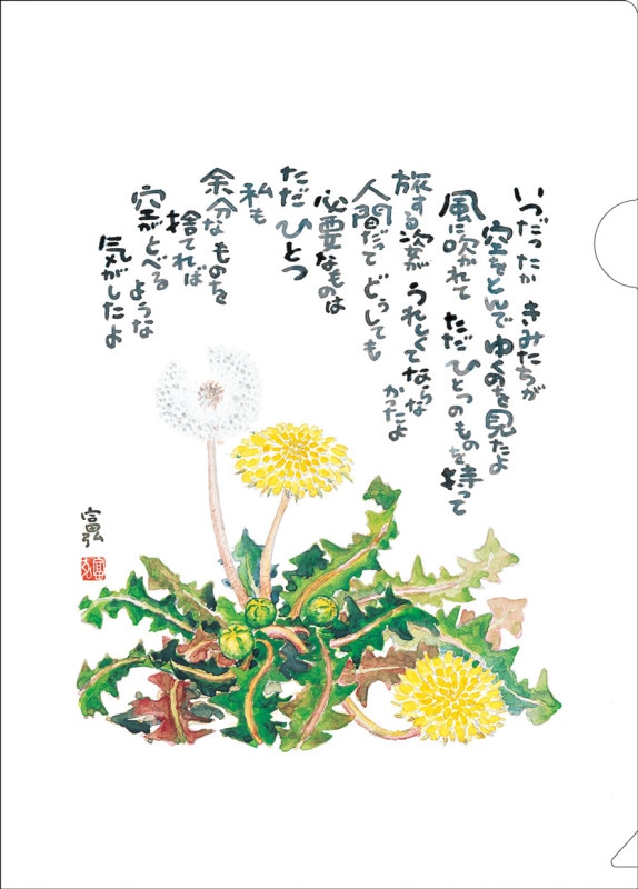 ٹꥢե롡ݥݡKM25CF7500211