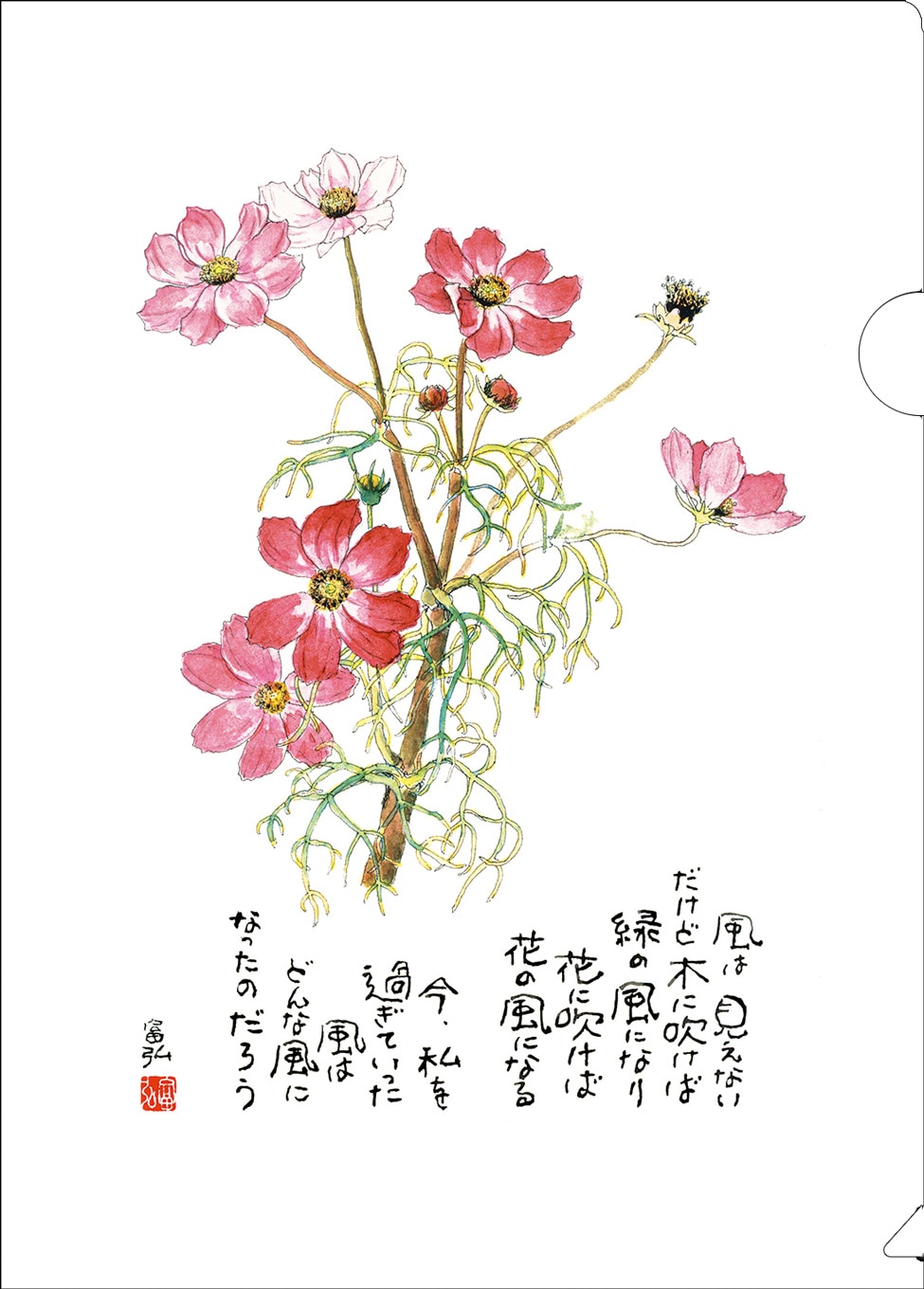 �����ٹ����ꥢ�ե����롡�����⥹��KM25CF6����500210��