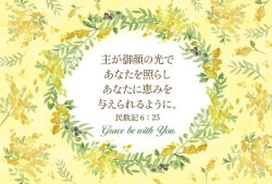 ե꡼ϥ (10)ߥ⥶ S-VF25F01500218