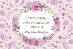 ե꡼ϥ (10)Х S-VF25F02500219