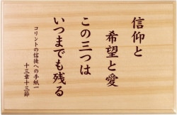 ɳݤ ġ˾ J-TO25MK4500279