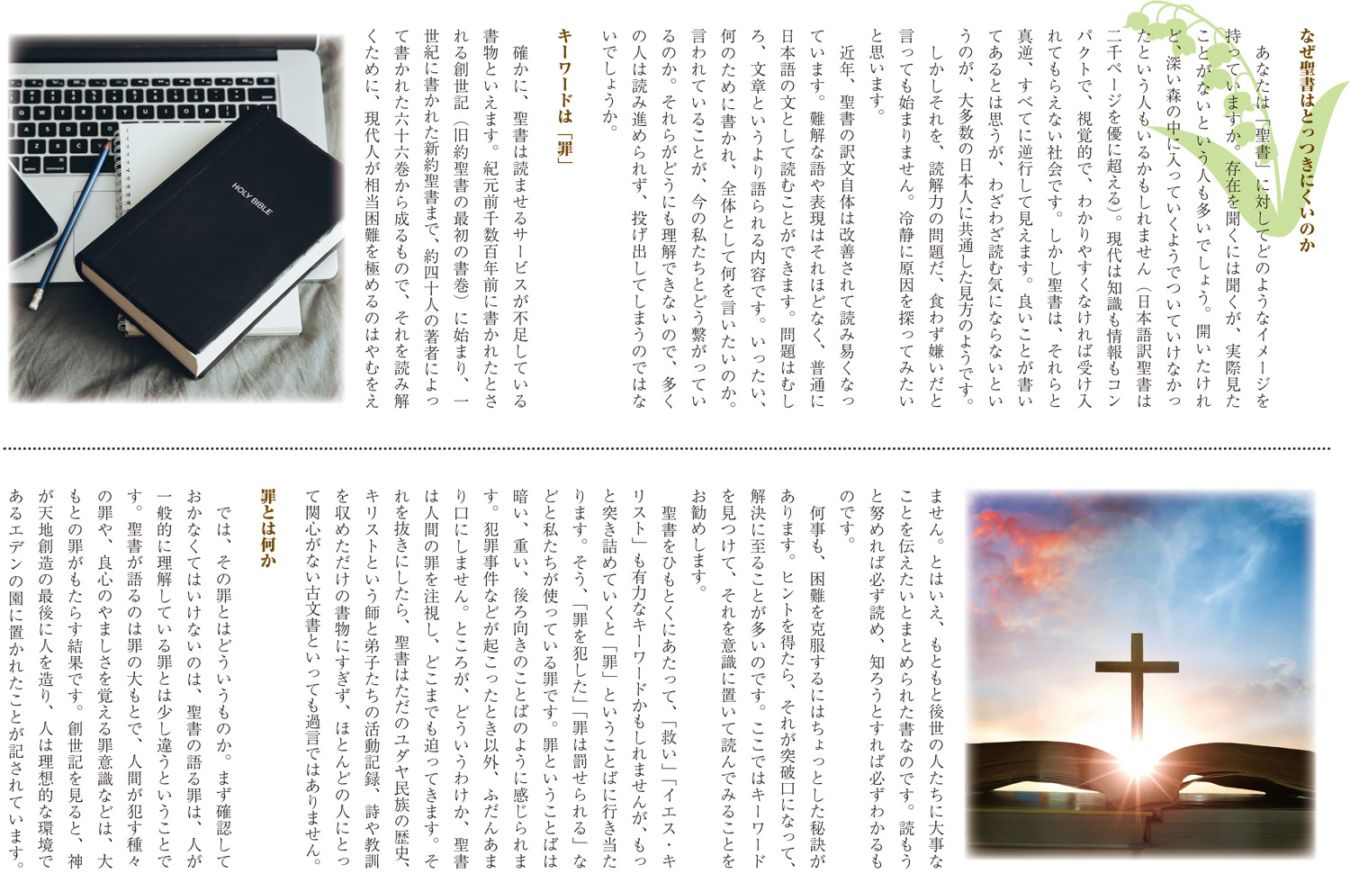 トラクト 罪がわかれば聖書がわかる（50枚入） （44611）（いのちの