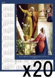 2026ǯ ۡ५֥ޥꥢΥꥵ٥ˬ(20)500011