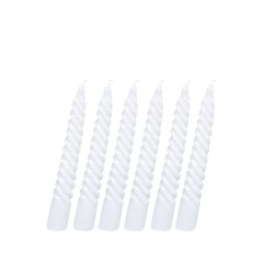 [ڡǤʤ])ѥ륭ɥ(6)6ܡˡɥ500243