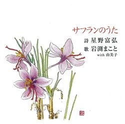 CD�����ե��Τ�������48944��