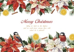 ꥹޥ(դ)Ļȥݥ󥻥500080