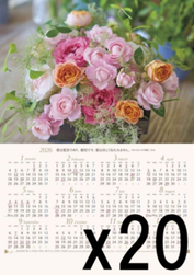 ��Ⱦ�ۡ�2026ǯ �ۡ��५������Grace ���� You(20��)����500014��