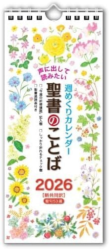 聖書 新改訳2017 大型版 引照なし・注付 NB-10（45630）（新改訳