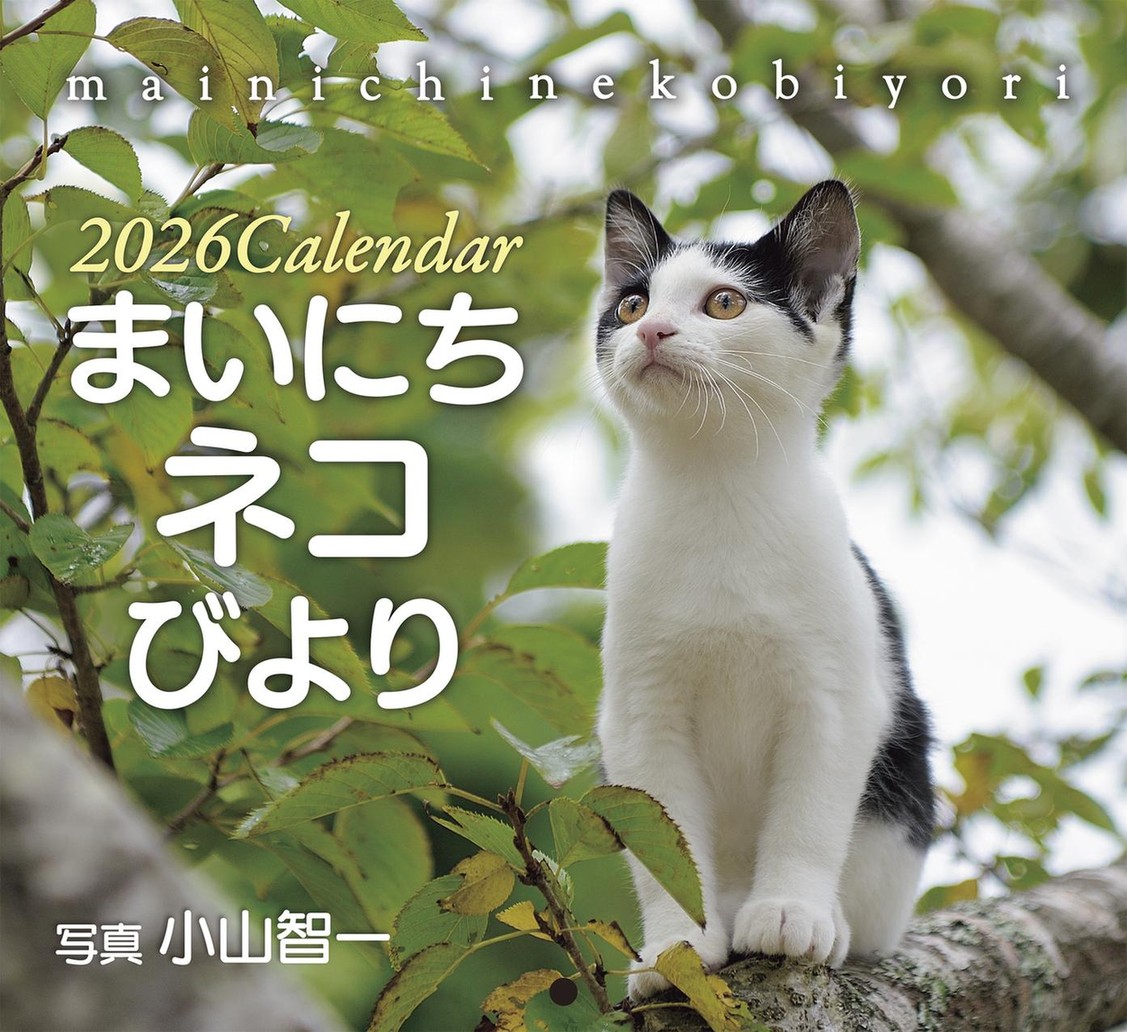 2026ǯ ɳݤ  ޤˤͥӤꡡ500025