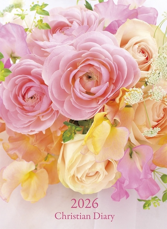 [�߸˸¤�] 2026 B6Ƚ���ꥹ�����������꡼ �ե�(������)����500048��