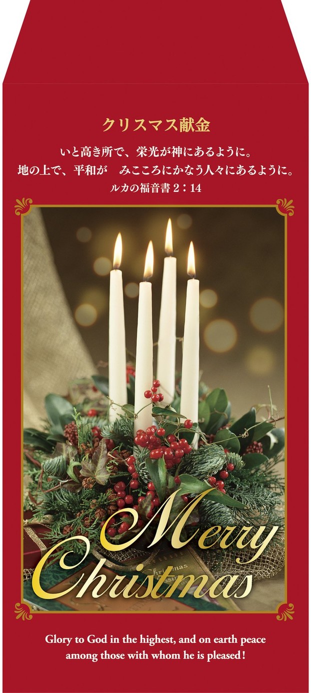 ���ꥹ�ޥ������� S-TB25XK1��50������˥��ɥ٥�ȥ����ġ���500054��