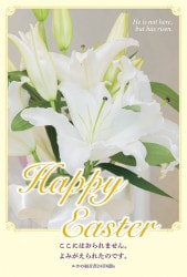 ϥ(10) S-TB26E1ꡡ500102