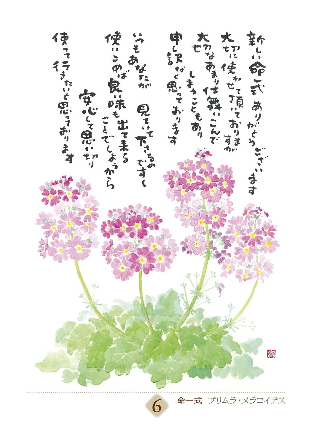 星野富弘 31枚の詩画日めくり どうしても必要なものはただひとつ