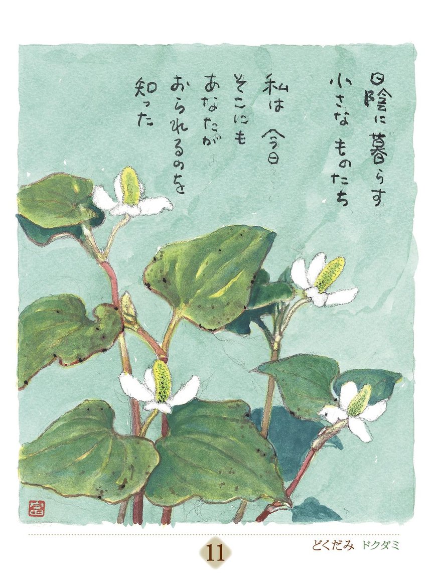 星野富弘 31枚の詩画日めくり どうしても必要なものはただひとつ