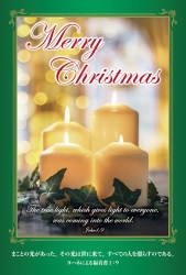 ꥹޥϥ K-TB25X2(10)դ륭ɥ롡500156