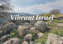 ������񥫥�����2026�����ܸ��2025ǯ9���2026ǯ12���802588��