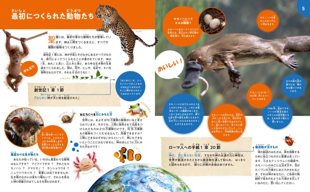 なるほどカラーガイド 聖書の動物大集合！ （17905）（いのちのことば