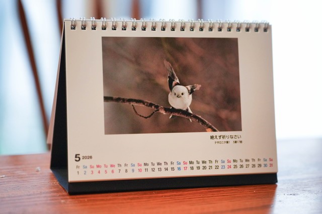 2026 卓上カレンダー 雪の妖精 シマエナガ （802702）（三宅利一