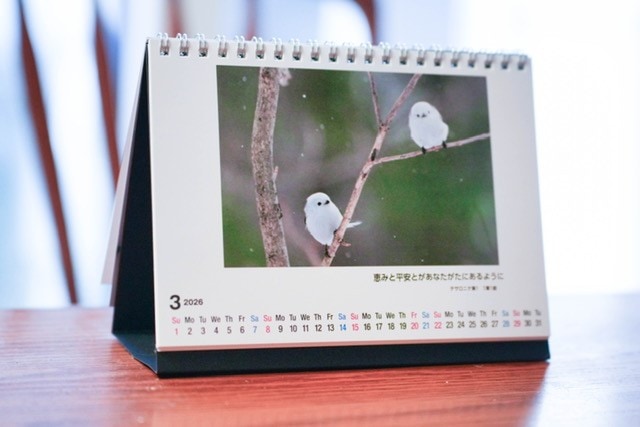 本能寺カレン　シノビ関連　4コン　76枚セット 2026 卓上カレンダー 雪の妖精 シマエナガ （802702）（三宅利一