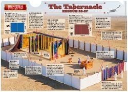 ���ꥢ�ե����롡�벰 ������ ��׻ʤ��������⡡K-KM26CF2����500323��