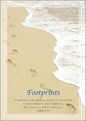 B6�Ρ��ȡ��եåȥץ��ȡ���50488��