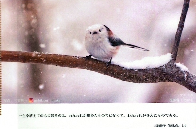 A4���ꥢ�ե����� ����������ޥ��ʥ�(I�ƥ�5:16-18)����802872��