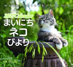 2027ǯ �ɳݤ���������  �ޤ��ˤ��ͥ��Ӥ�ꡡ��500413��