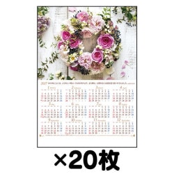 2027ǯ �ۡ��५��������Grace to You��(20��)����500403��