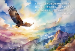 ���ե꡼�ϥ��� (10������)�������� S-VF26F01����500570��