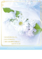 ���뺧�ץ�������ѻ�(30��)�ե��֥롼���ץ�������ѻ��500399��