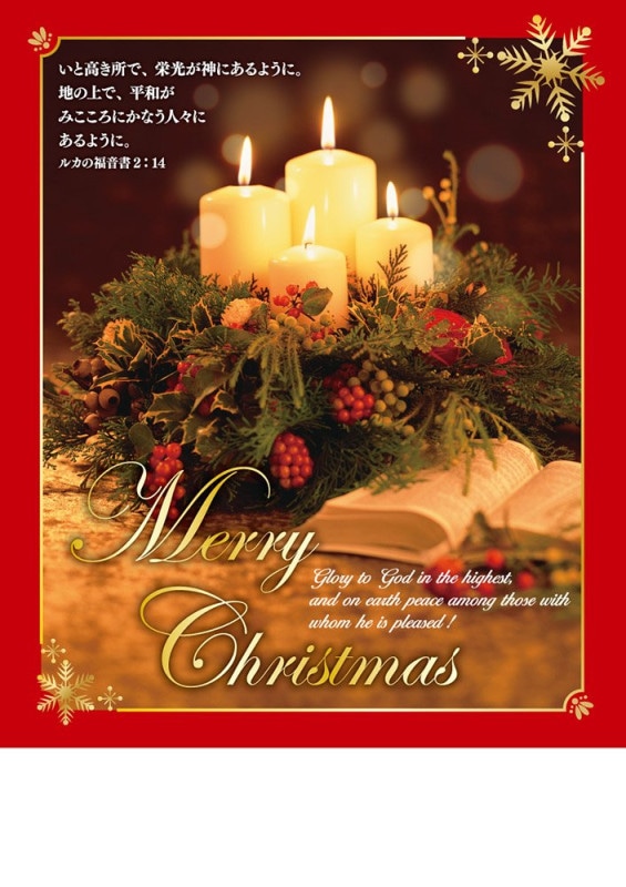 ���ꥹ�ޥ��ץ�������ѻ� ��50�������4�ܤΥ����ġ���500471��