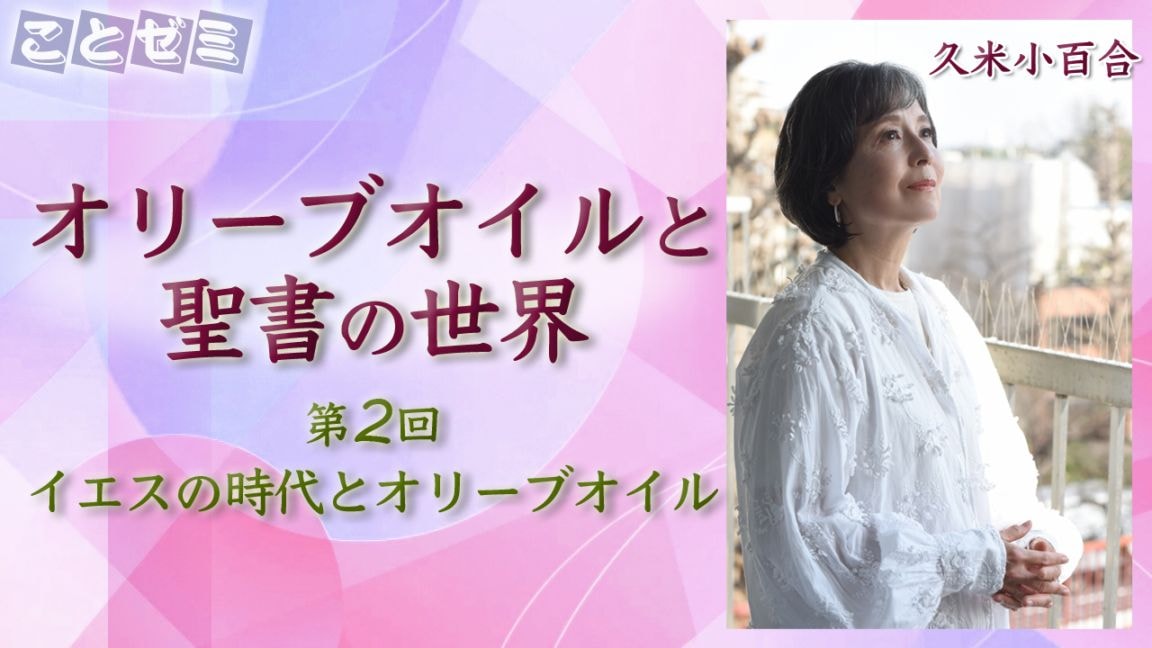 �ڤ��ȥ��ߡ۵��ƾ�ɴ�硡���꡼�֥���������������2����25817��