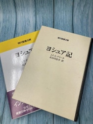 予約・11月発売予定] BIBLE navi 聖書 新改訳2017 解説・適用付（新装