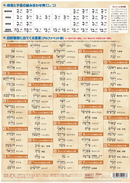 ꥢե롡إ֥饤졡KM24CF250227