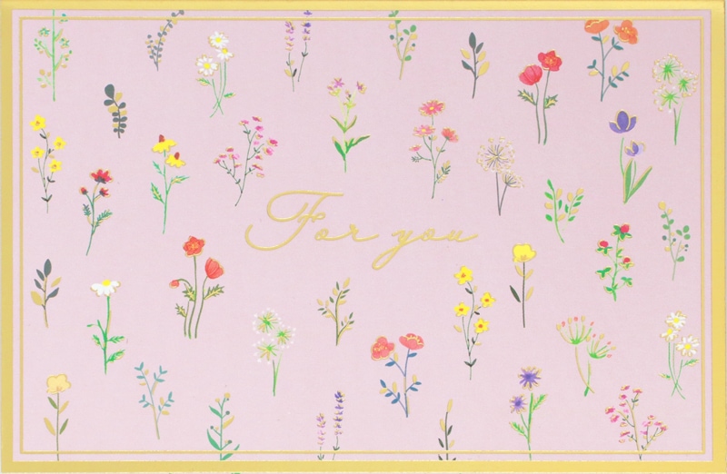 ���꡼�ƥ��󥰥����ɡ����֥ԥ�(�����դ�)J-G300-13����50341��